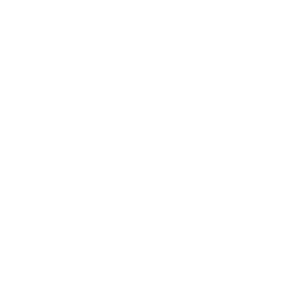 schiesser