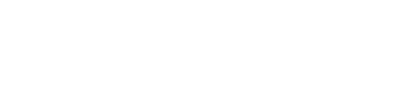 fatchip