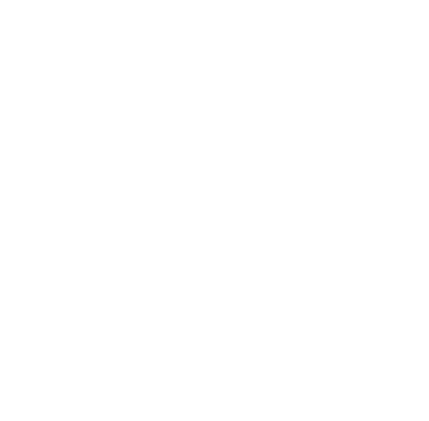 zeppelin