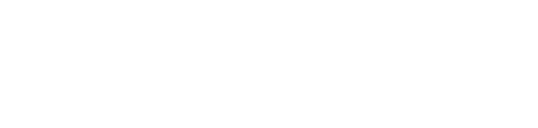 electronic star