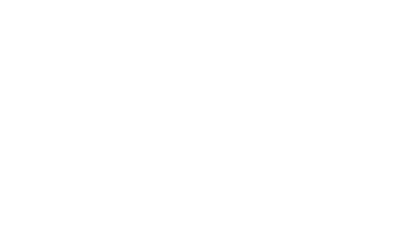 dotfly