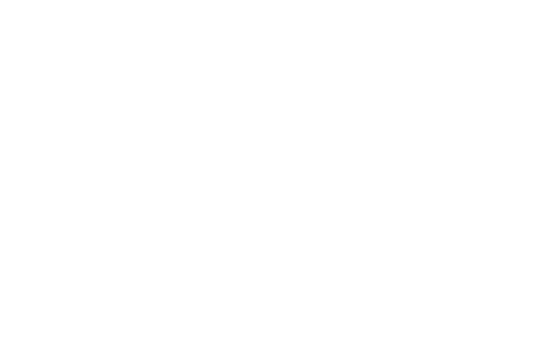 norisk group