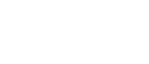 arlt computer