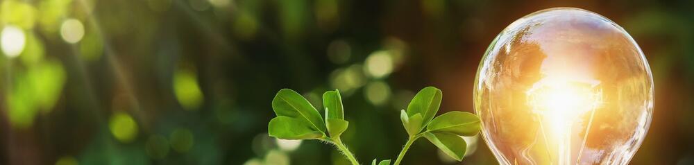 Mit schnellen MVPs risikolos zum Erfolg